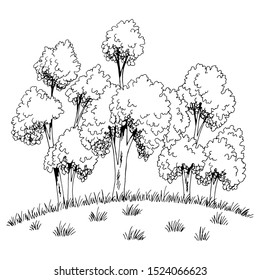 Grove on the hill tree forest graphic black white sketch illustration vector