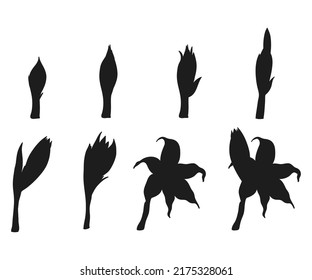 Grow Up Flower Plant Vector Silhouettes Collections