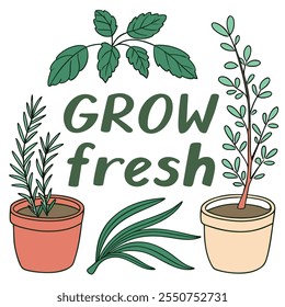 Grow Fresh Herbs and Plants vector flat design