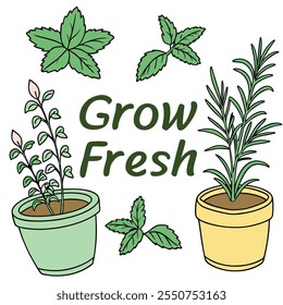 Cultivo fresco ervas e plantas vetor design plano