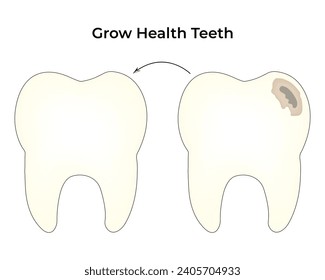 Grow Health Teeth Science Design Vector Illustration