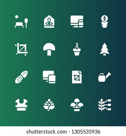 grow icon set. Collection of 16 filled grow icons included Wheat, Flower pot, Hop, Mushroom, Watering can, Crop, Responsive, Pine, Flowerpot, Growth, Greenhouse, Park