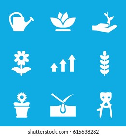 Grow icons set. set of 9 grow filled icons such as shave hair in skin, hair removal, watering can, flower pot, flower, graph, plant on hand