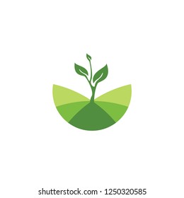 GROW UP logo design