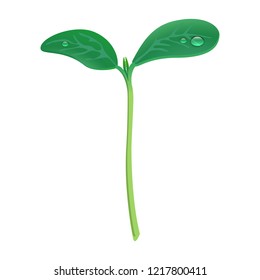 Grow up plant icon. Realistic illustration of grow up plant vector icon for web design isolated on white background