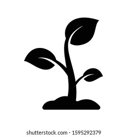 grow plant icon vector black and white
