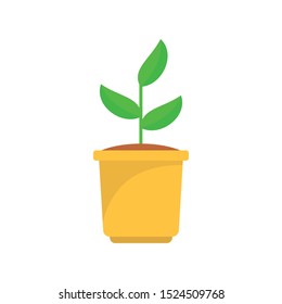 Grow plant pot icon. Flat illustration of grow plant pot vector icon for web design