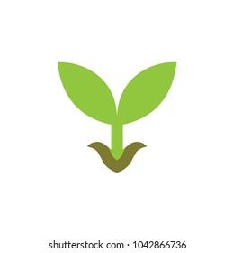 Grow seed logo design vector