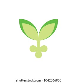 Grow seed logo design vector