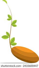  to grow, spring up, or come forth as or as if a sprout; to send out new growth; to send forth or up