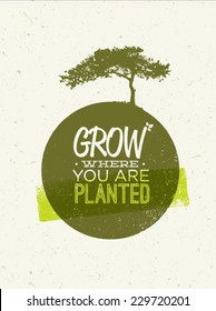 Grow Where You Are Planted Motivation Quote on Recycled Paper Background