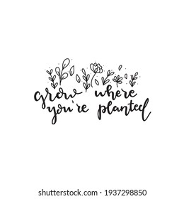 Grow where you're planted. Calligraphic Hand drawn inspirational phrase. Motivational quote. Today is magical.