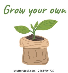 Grow your own flat design plant in a paper bag