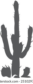 Growing cactus in desert. Mexican plant black silhouette