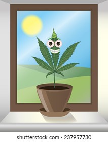 Growing cannabis leaf vector illustration