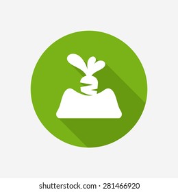 Growing carrot icon