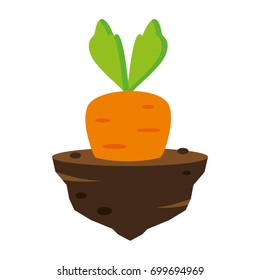 A growing carrot in soil