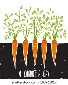 Growing Carrots Scratchy Drawing and Lettering. Bed of carrots scribble illustration. Vector EPS8.