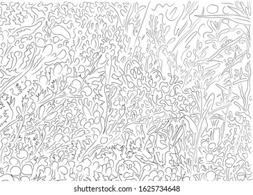  Growing chamomile herb pharmacy, abstract drawing, black and white background
