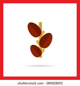 Growing coffee beans icon