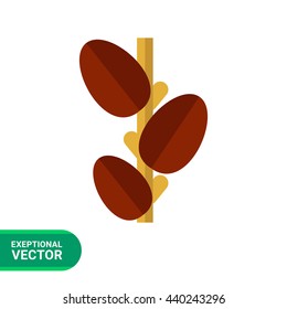 Growing coffee beans icon