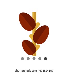 Growing coffee beans icon