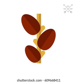 Growing coffee beans icon