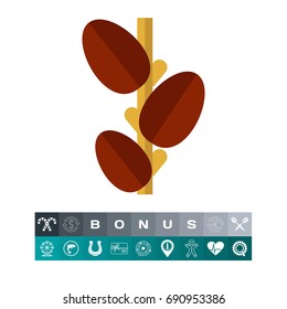 Growing coffee beans icon