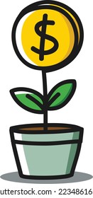 growing coin money flower in a pot