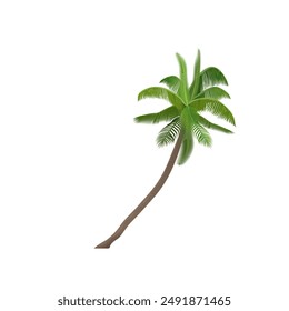 Growing crooked coconut palm tree, sloping trunk and green leaves on branches vector illustration