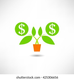 Growing dollar tree Vector Illustration