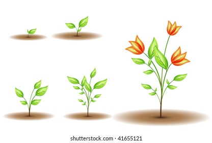 Blüte