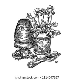 Growing flowers. Pot with plant and scoop. Engraving style. Vector illustration.