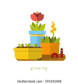 Growing flowers. Vector flat illustration.
