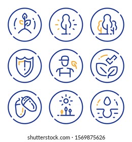 Growing forest, ecological program, volunteer and participation, nature care and improvement, vector line icon set