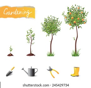 Growing fruit tree and gardening icons