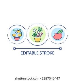 Growing fruits and berries loop concept icon. Farming and gardening. Edible landscaping. Garden abstract idea thin line illustration. Isolated outline drawing. Editable stroke. Arial font used