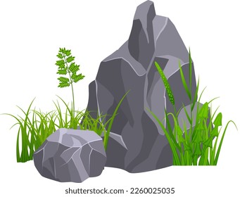 Wachsgras und Steinboulder. Naturgestein auf dem Boden