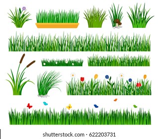 Growing grass template for garden vector. Gardener section and boxes with flowers, bulrush and sedge bushes isolated on white