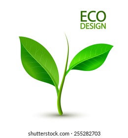 Growing green sprout.  Vector illustration.
