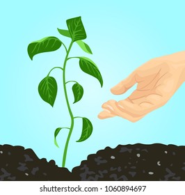 Growing green young plant and farmers hand. Care for nature. Fertile land. Vector image of germinating sprout in flat style.