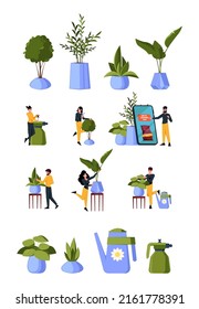 Growing home plants. Persons care and gardening interior plants garish vector happy hobby