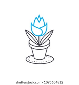 Growing of house flowers linear icon concept. Growing of house flowers line vector sign, symbol, illustration.