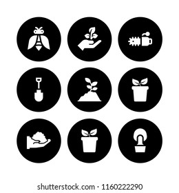growing icon. 9 growing set with plant with two leaves on a pot side view, farming and gardening, plant and sprout vector icons for web and mobile app