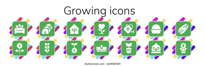 conjunto de iconos en crecimiento. 14 iconos de crecimiento rellenos. Incluido Flowerpot, Growth, Greenhouse, planta de cultivo, Jardín, Planta, Sow, Aguas, Iconos de semillas
