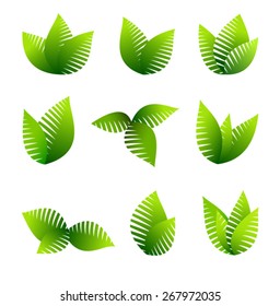 Growing Leafs Symbols -Green Concept using Leafs