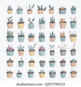 Growing a little tree in a pot: A guide to indoor gardening