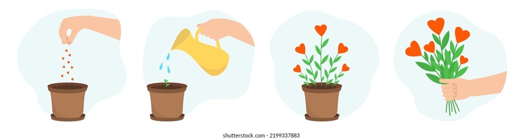 Cultivando una planta de amor: Semillas, riego, macetas, ramo en mano. Ilustración vectorial. Diseño para el Día de San Valentín. El concepto de amabilidad y amor.