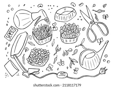 Growing microgreens set hand drawn sketch vector. Microgreen in boxes isolated, planting micro-greenery, sprayer, watering can, seeds, scissors, lamp for greenery. Element for design, print, sticker