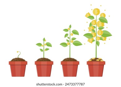 Growing money tree in pot. Stages of growing. Gold coins on branches. Symbol of wealth. Business success. Timeline. Flat style vector illustration.